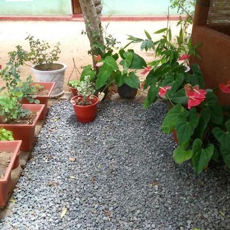 Pawansa Home Stay Habarana Bagian luar foto
