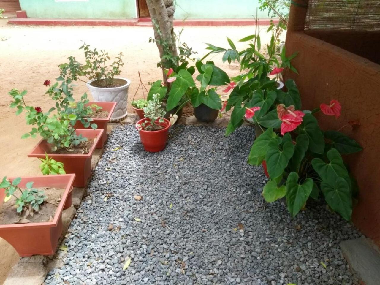 Pawansa Home Stay Habarana Bagian luar foto