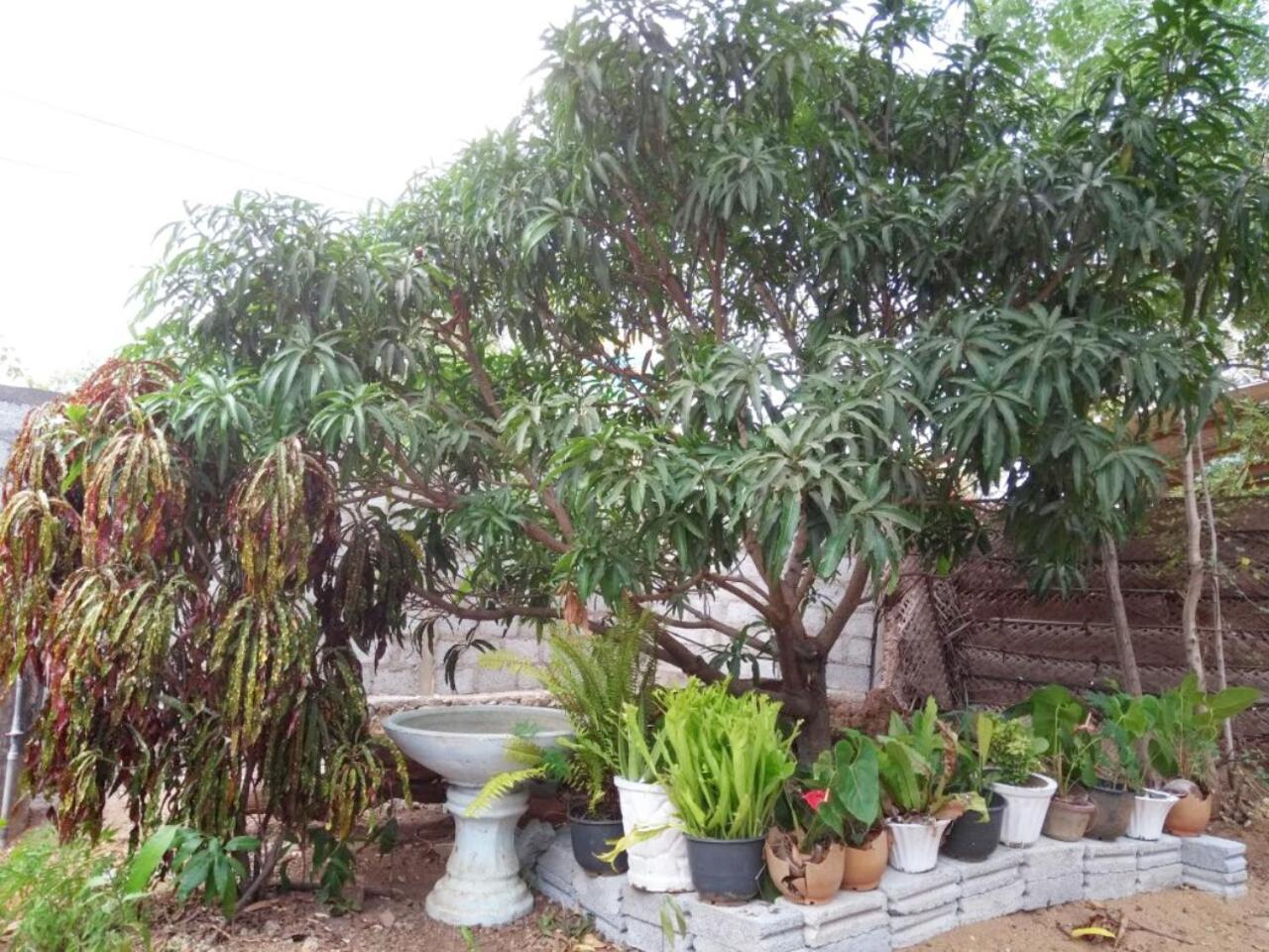 Pawansa Home Stay Habarana Bagian luar foto